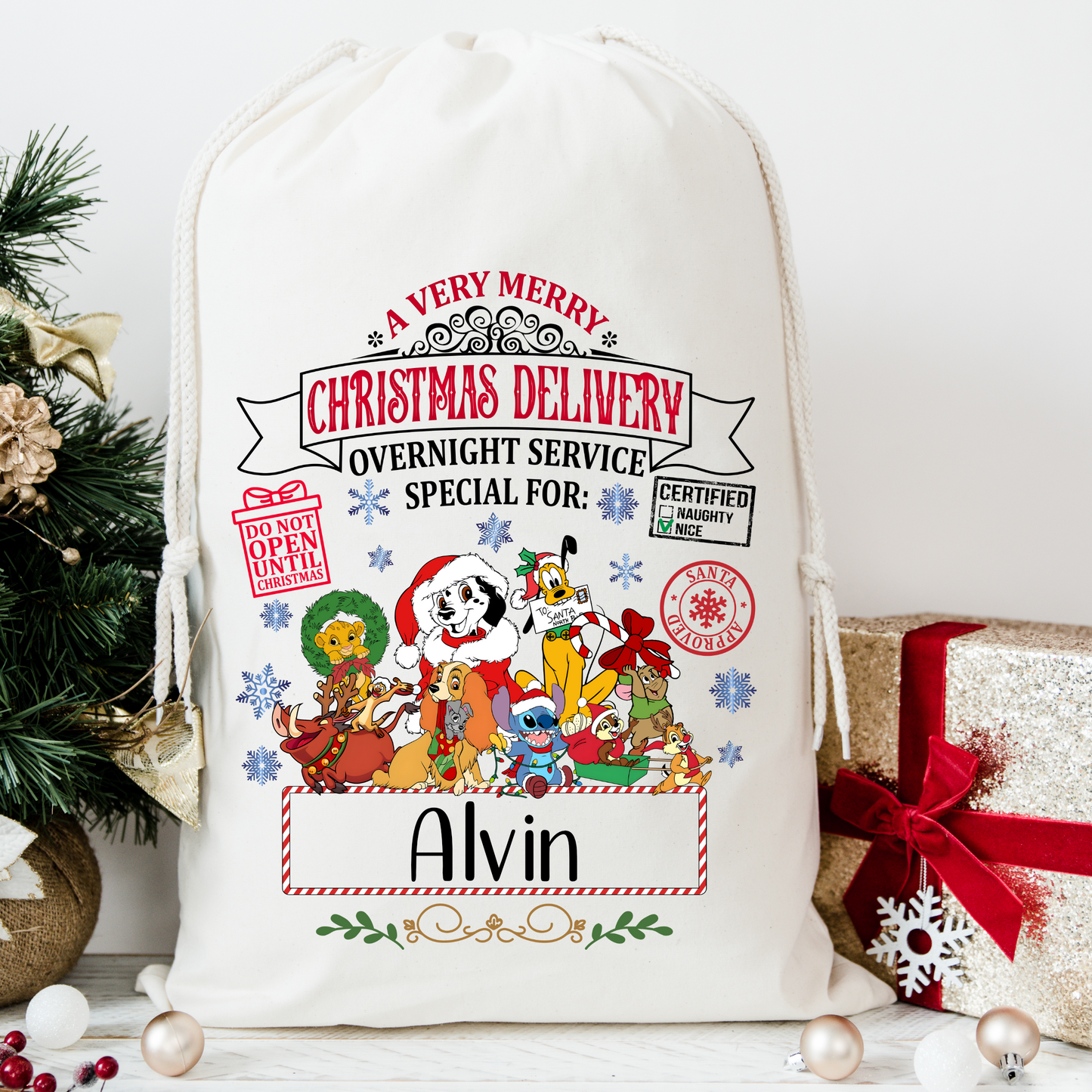 Characters Santa Sack
