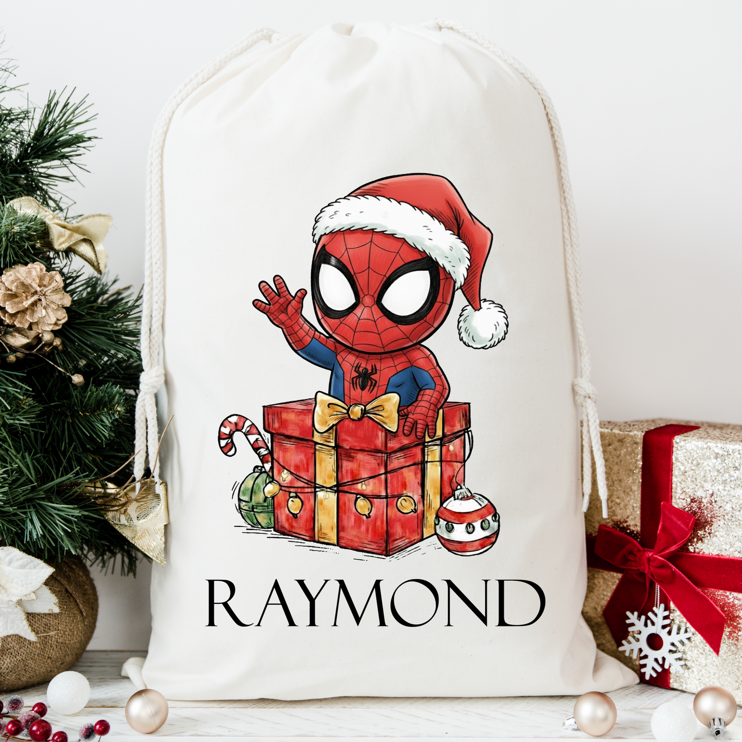Spidey Santa Sack