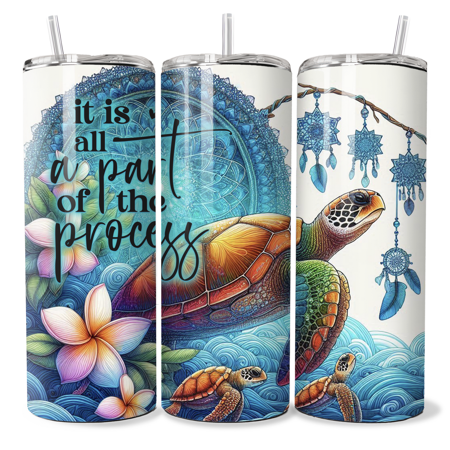 Turtle - It is all a part of the process