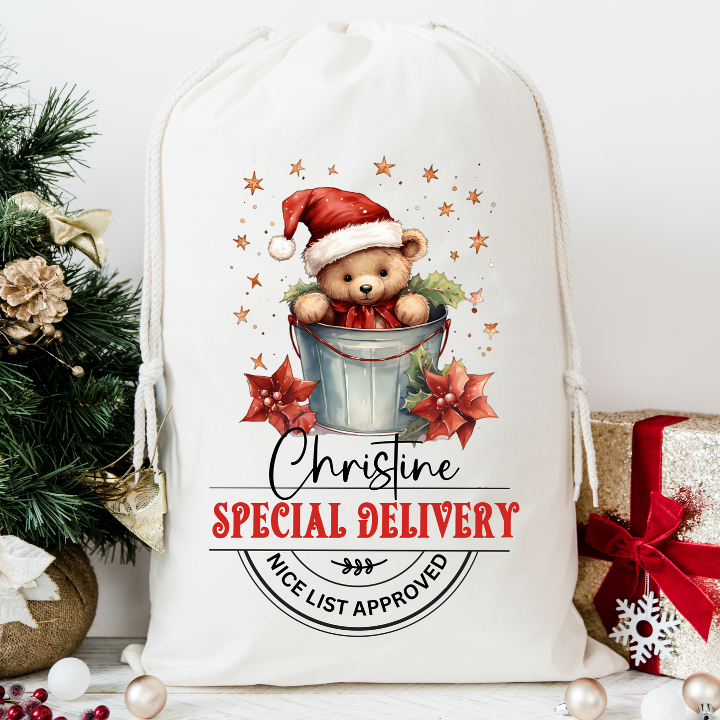 Teddy Bear Santa Sack
