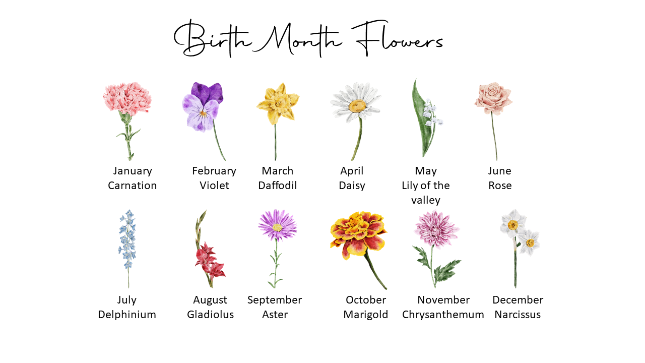 Personalised Grandmothers Garden - Birth Month Flower - Cushion