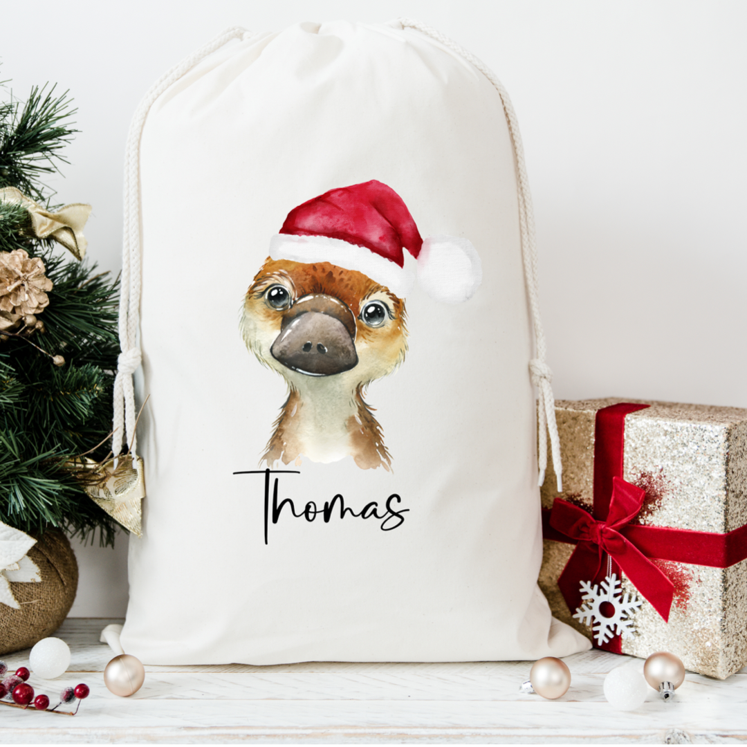 Platypus Santa Sack