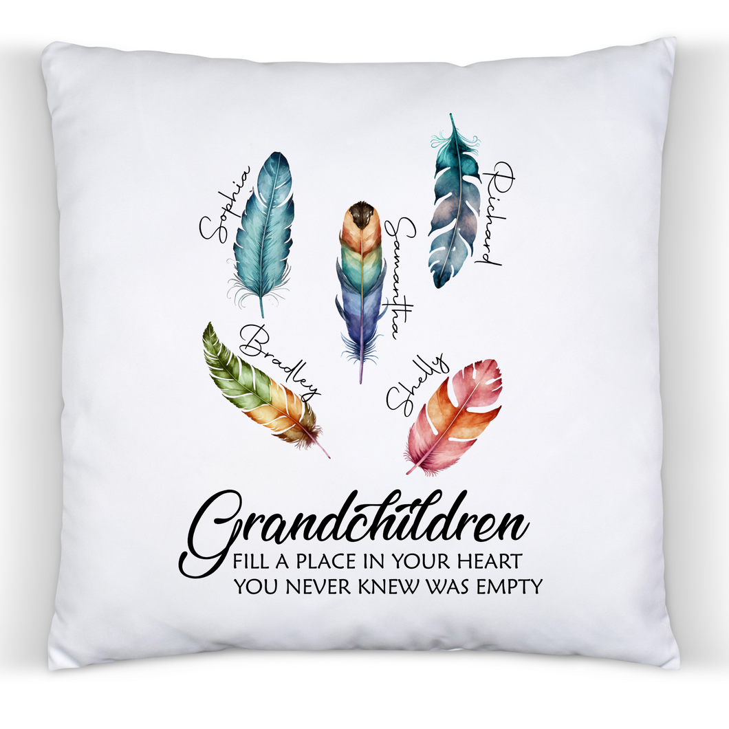Grandchildren Feathers - Cushion