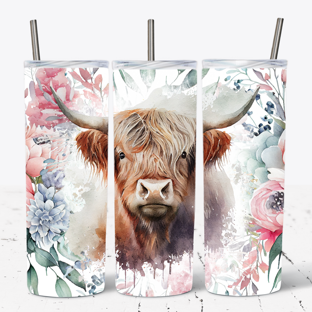 Highland Cow