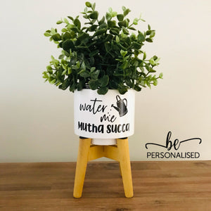 Mini Pot Plant with Saying